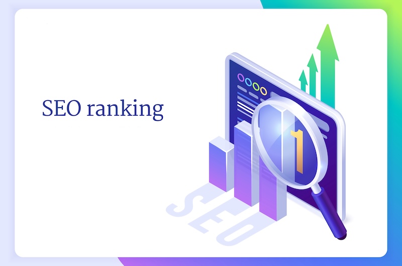 דוחות מועקב seo